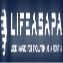 LifeAsapa International undergraduate financial aid in Denmark